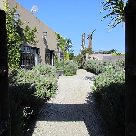 Plett River Lodge Plettenberg Bay Exteriör bild